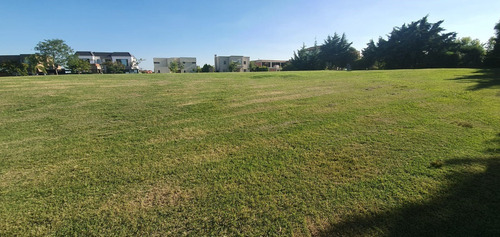 Imagen 5 de 6 de Terreno Lote En Venta Ubicado En San Marco, Villanueva, Tigre