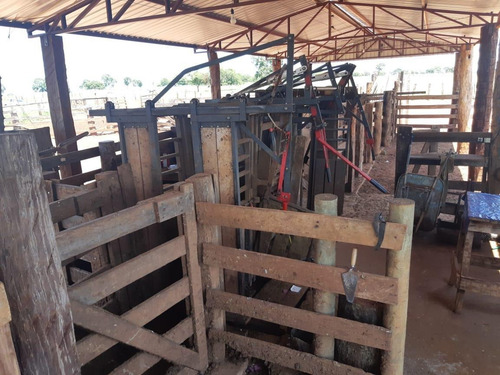 Imagem 11 de 11 de Fazenda Para Venda Em Santa Rita Do Pardo, Rural - Fazgu 315_1-1947859