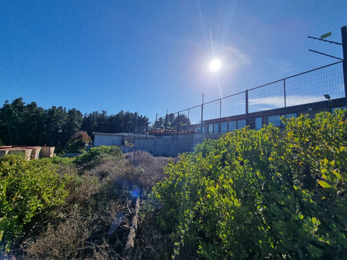Excelente Terreno En Los Pinos