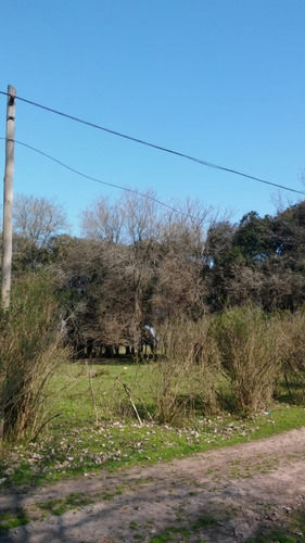 Imagen 7 de 8 de Lotes Privados Barrio Abierto En Canning