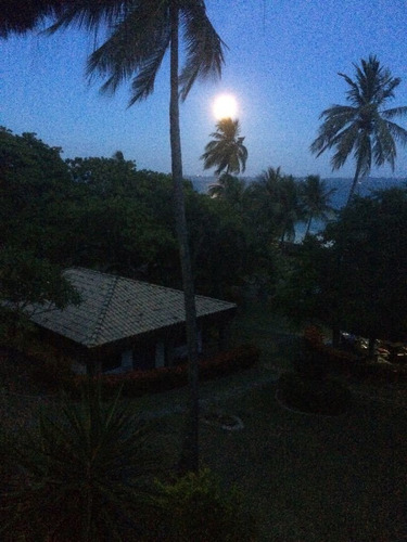 Imagem 28 de 29 de Casa Com 6 Quartos, 60000m2, À Venda - Centro - Saubara - Ilha-2