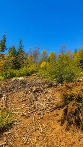 Vive En La Naturaleza Parcela De 10000mt2 En La Placeta