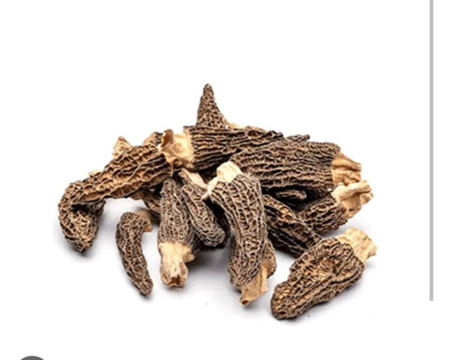 Morillas Hongos De Ciprés 100 Gramos