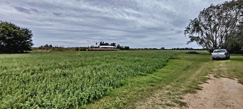 Chacra De 4 Ha. En Venta En San Andres De Giles