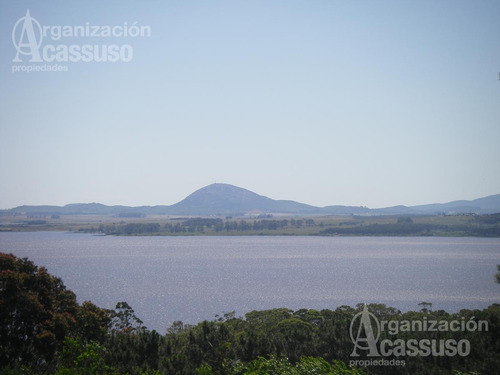 Imagen 19 de 19 de Punta Del Este - Chacra Venta Usd 1.100.000