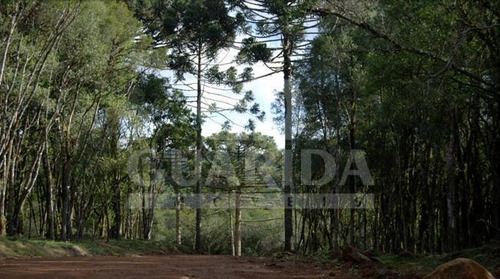 Imagem 8 de 10 de Terreno - Caracol - Ref: 132886 - V-132886