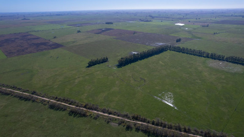 Campo En Venta Mixto 188ha San Andres De Giles