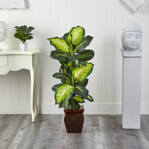 Dieffenbachia Dorada Con Maceta Decorativa Color Verde