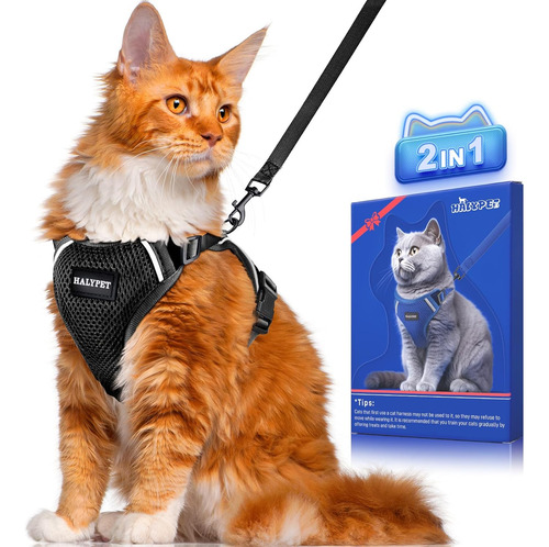 Juego Arnés Y Correa Ajustable Para Gato Transpirable