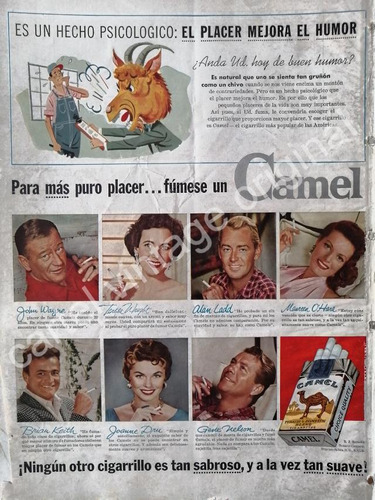 Cartel Retro Cigarros Camel Y Estrellas De Cine 1950s Fep