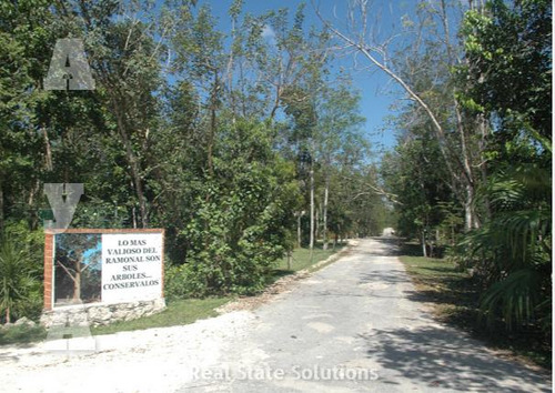 Terreno Ecológico Con Luz, Venta De 2,250 M2, El Ramonal, Cancún-mérida