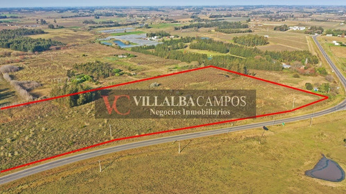 Imagen 4 de 4 de Villalba Campos Vende 5 Has Sobre Ruta 67