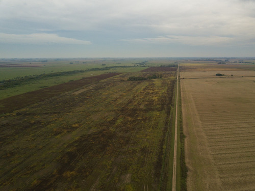 Imagen 22 de 23 de Oportunidad Campo En Zavalla