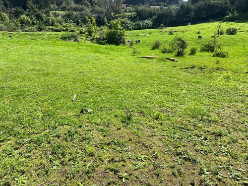 Imagen 3 de 5 de Gran Terreno En Paraje Mechinanco, Huitzilac, Morelos.