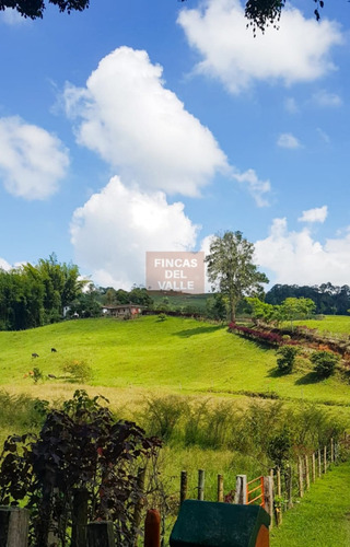 Calima, Jiguales, 40 Plazas, Venta. Restrepo.