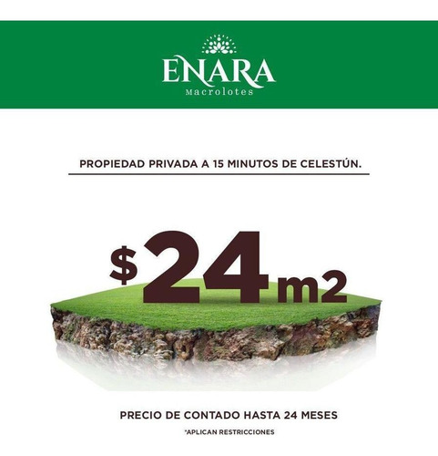 Imagen 6 de 7 de Venta De Macrolotes | Enara | Celestun