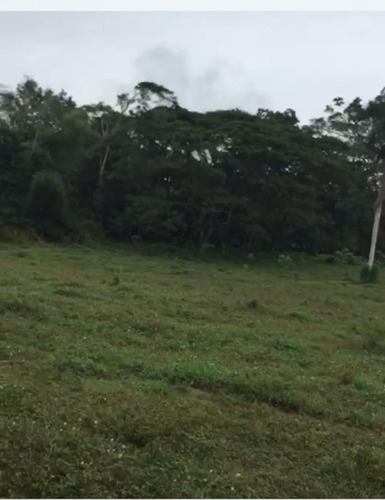 Te Vendo Excelente Finca En La Vega