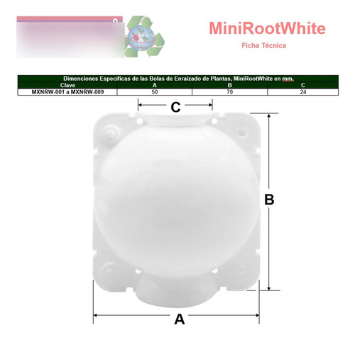 Acodos E Enraizamiento, Mxnrw-001, 1pza, 5cm Ø, Blanco, Cort
