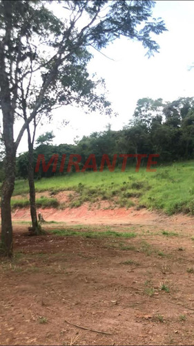 Imagem 5 de 8 de Terreno Em Serra Da Cantareira - São Paulo, Sp - 352874