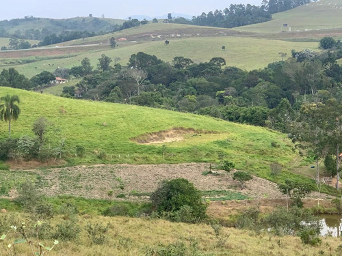 Imagem 5 de 14 de G20- Lotes Com Nascente 5.000m2 Este Fim De Semana 99mil !!
