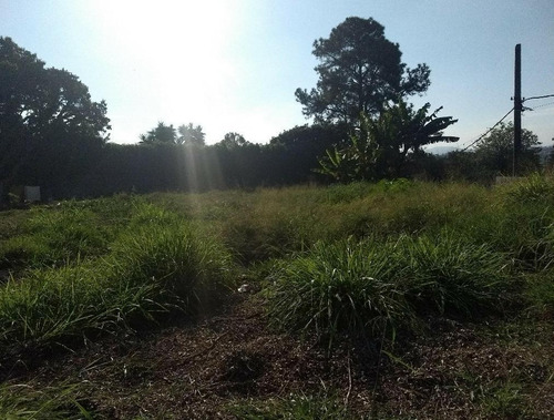 Imagem 5 de 9 de Terreno À Venda, Vila Monte Belo - Itaquaquecetuba/sp - 394