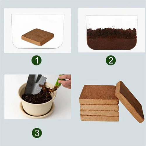 6 Piezas De Fibra De Coco Orgánica Para Plantas, Ladrillo De