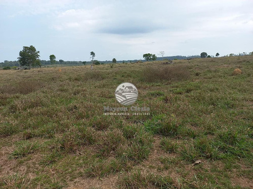 Imagem 3 de 5 de Venda Fazenda Machadinho D'oeste Em Rondônia - Fza205