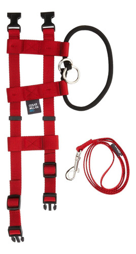Cesar Millan Original American Illusion Collar Collar De Ent