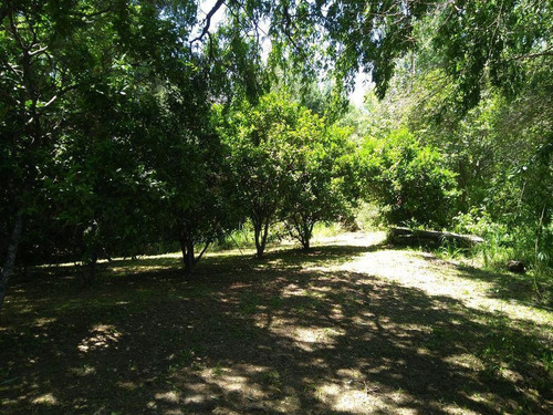Imagen 6 de 17 de Samek Propiedades Quinta En El Paraná Miní. Muy Linda Vista