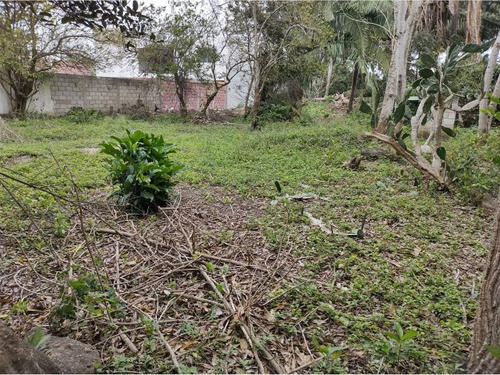 Venta Terreno Medellin De Bravo