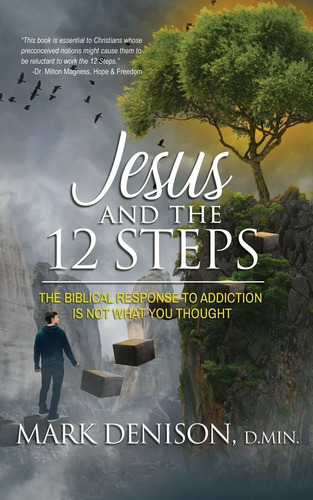 Libro Jesus And The 12 Steps Nuevo