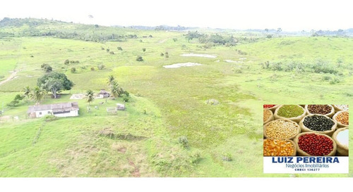 Imagem 2 de 14 de Fazenda À Venda Em Anapu - Pa - De 400 Alqueirões (pecuária) - 1661
