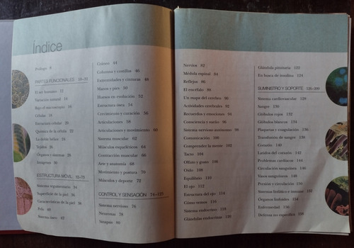 Enciclopedia Ilustrada Del Cuerpo Humano Clarín (Usado)