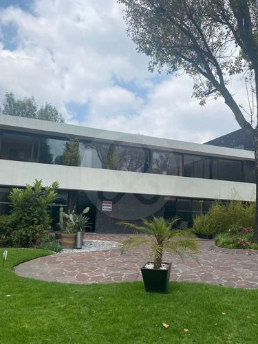 Oficina En Renta En Lomas De Reforma