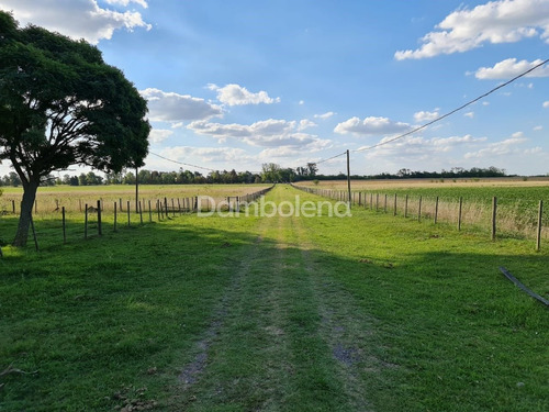 Imagen 17 de 30 de Terreno Fraccion En Venta O Permuta Ubicado En Mercedes, Resto De La Provincia