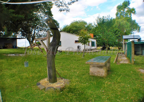 Imagen 10 de 14 de En Venta Campo De 137 Ha Colonia Del Sacramento