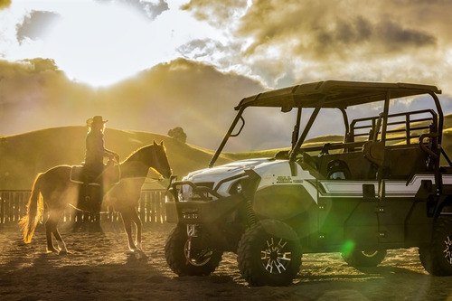 Imagen 4 de 12 de Kawasaki Mule Pro-fxt 1000 Platinum Ranch Edition