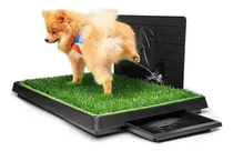 Comprar Baños Para Perros Xl Ecológico Grande Pet Potty Con Bandeja