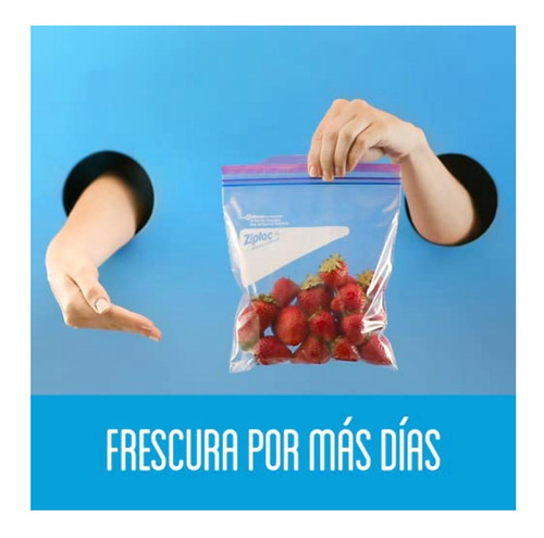 Ziploc Bolsas Reutilizable, Paquete Mixto, Cont. 9 Piezas, 3