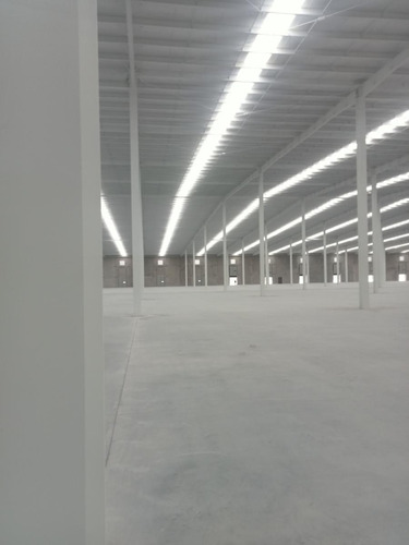Nave Industrial En Renta En Apaseo Guanajuato 10,000 M2
