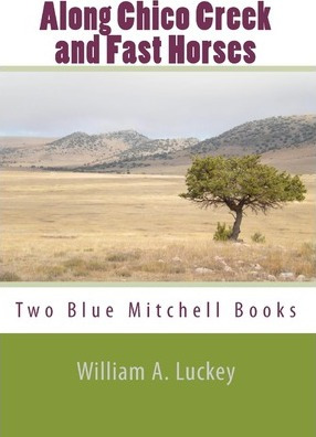 Libro Along Chico Creek And Fast Horses - William A Luckey