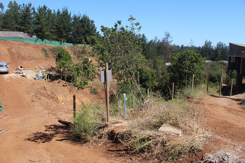 Imagen 12 de 14 de Terreno Los Pinos