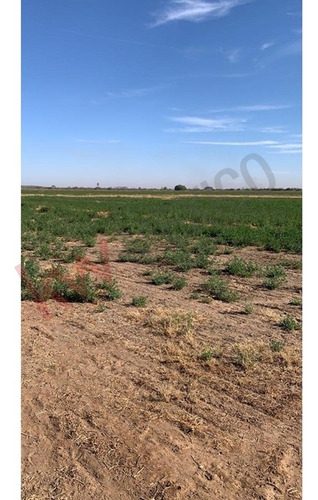 Terreno Agricola Con Permiso De Riego En Venta Colonia Camacho En Mexicali B.c