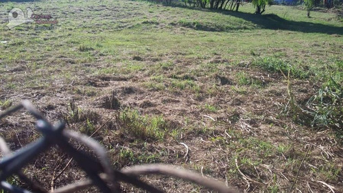 Imagem 7 de 15 de Terreno Comercial Para Venda Em Atibaia, Ressaca - Te00174_2-891741