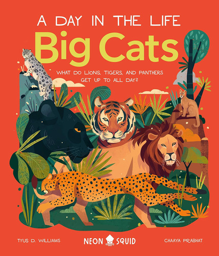 Libro: Big Cats (a Day In The Life): What Do Lions, Tigers,