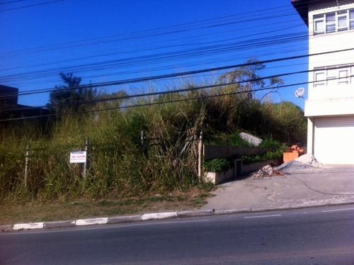 Imagem 6 de 10 de Terreno Comercial À Venda, Parque Rincão, Cotia. - Te4407
