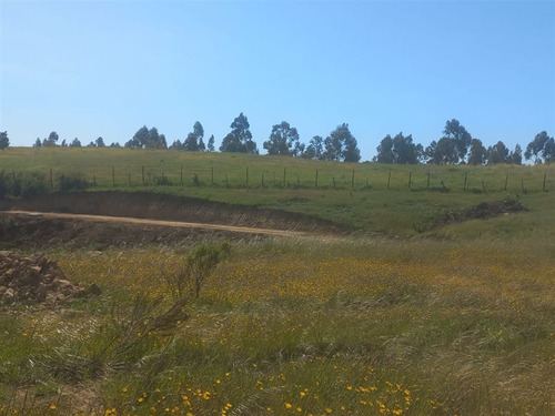 Agrícola En Venta En Navidad