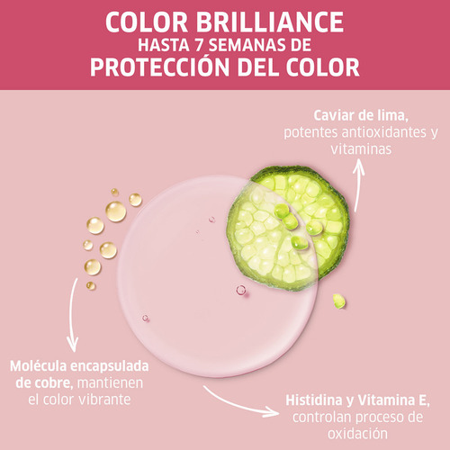Shampoo Para Cabello Teñido Wella Invigo Brilliance 250 Ml