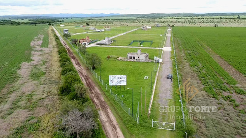 Imagen 12 de 26 de Terreno A La Venta En La Ernestina