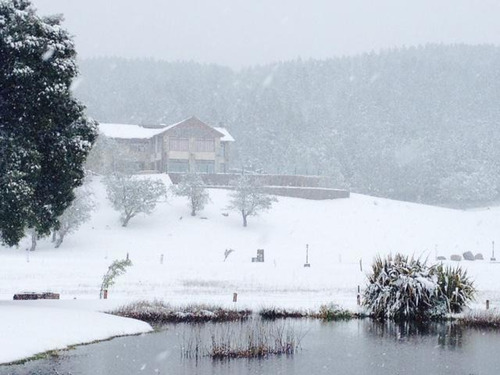Imagen 9 de 19 de Departamento 2 Amb - Club De Campo Estancia Los Ñires - San Martín De Los Andes